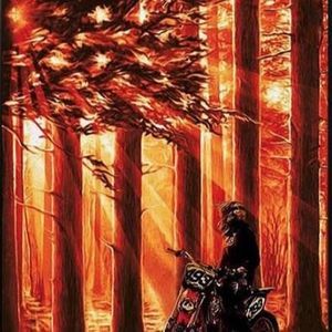 Meet your Posher, Travis